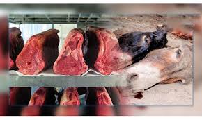 ​20 tonnes de viande d’âne en partance pour la Chine saisies