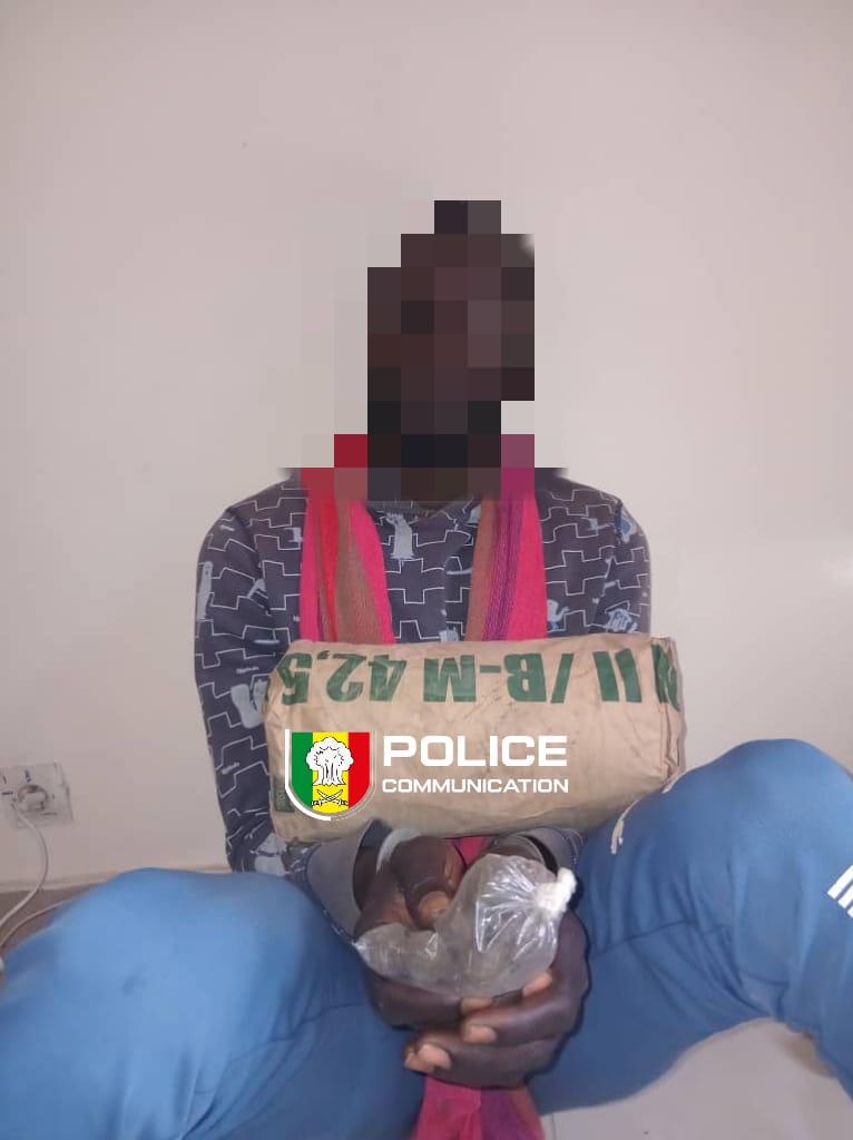 Ziguinchor : un restaurateur et un vendeur de charbon arrêtés avec une importante cargaison de chanvre indien