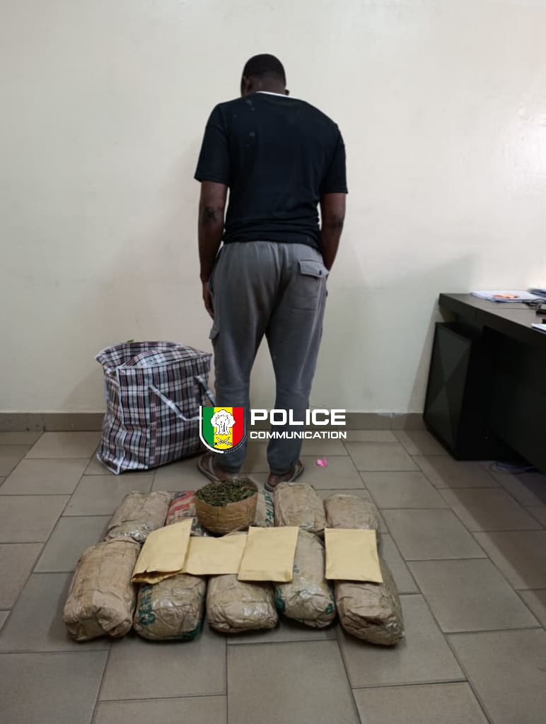 Dakar : un individu interpellé, 10,5 kg de chanvre indien saisis par la DIC à Sacré-Cœur