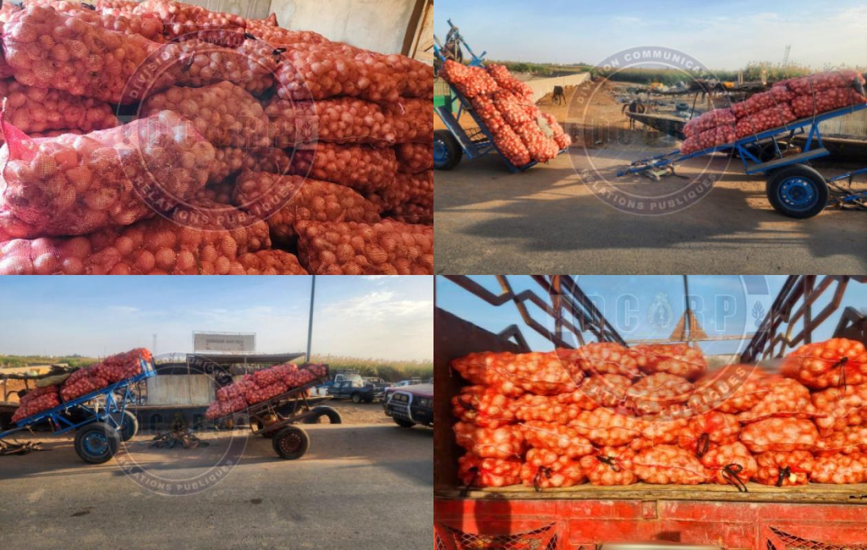 Rosso : un  réseau de trafic d'oignons dementelé