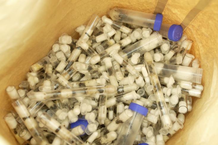 Kenya: un ressortissant chinois arrêté à Nairobi pour trafic de fourmis