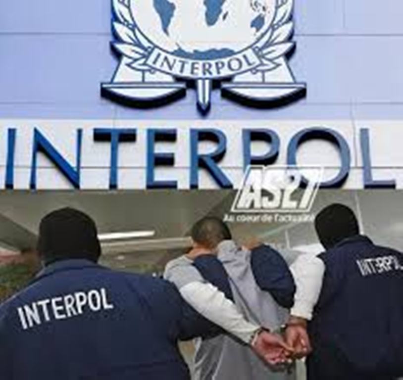 Cybercriminalité : Interpol neutralise plus de 45 000 infrastructures malveillantes
