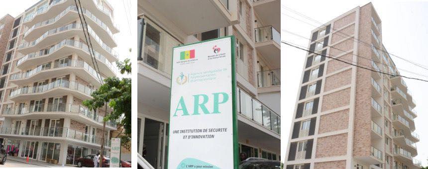 ARP : Aïssatou Sougou nommée Directrice générale en remplacement d’Alioune Ibnou Abou Talib Diouf