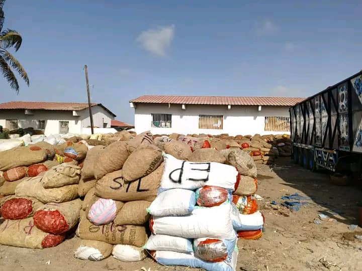 Pêche illicite : Plus de 2.500 sacs de produits juvéniles saisis, 60 caisses de produits frais détruites