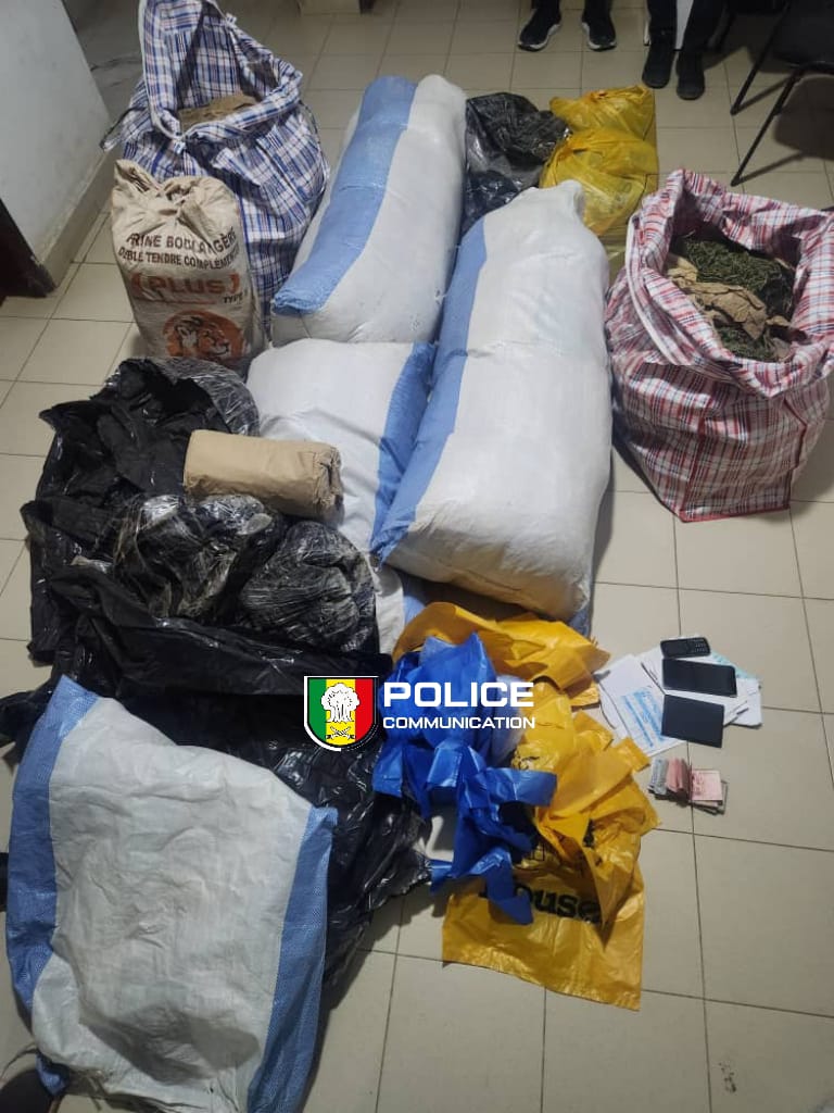 Niacoulrab : deux individus interpelés et 108 kg de chanvre indien saisis par la BRS de Dakar