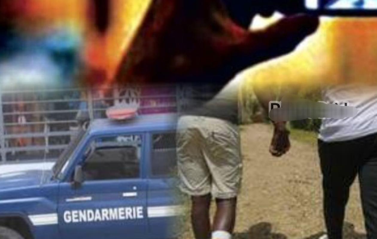 Affaire des presumés homosexuels : la gendarmerie procède à sa 51e interpellation