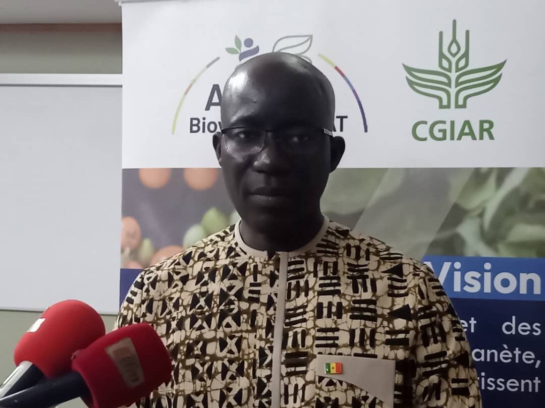 ​Sénégal : des plateformes innovantes pour renforcer la résilience des systèmes agroalimentaires
