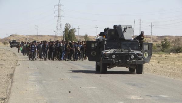 Irak : les forces gouvernementales annoncent être entrées dans Fallouja, bastion du groupe Etat islamique