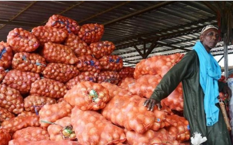Interdiction de la vente d’oignons des agro-business : l’ARM annonce la mobilisation des services de contrôle