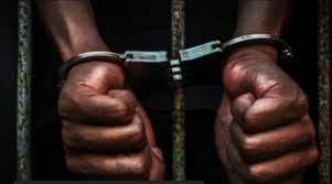 Mbour:  un sympathisant de Pastef placé sous mandat de dépôt pour "harcèlement", son procès fixé au 17 avril