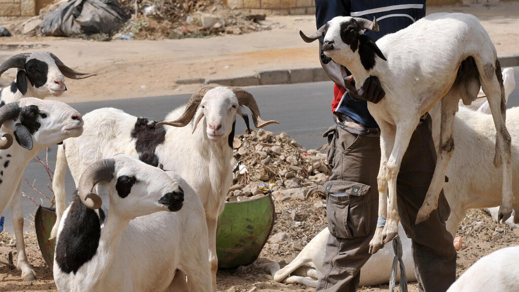 Sénégal : La fête de la Tabaski sera célébrée le 28 mai 2026