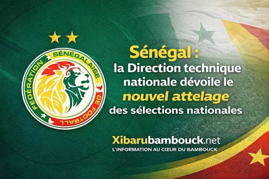 Football : La FSF dévoile le nouvel attelage des sélections nationales sous l’impulsion du nouveau DTN