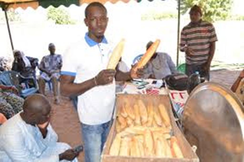 Souveraineté alimentaire : La nouvelle génération de boulangers mise sur les céréales locales