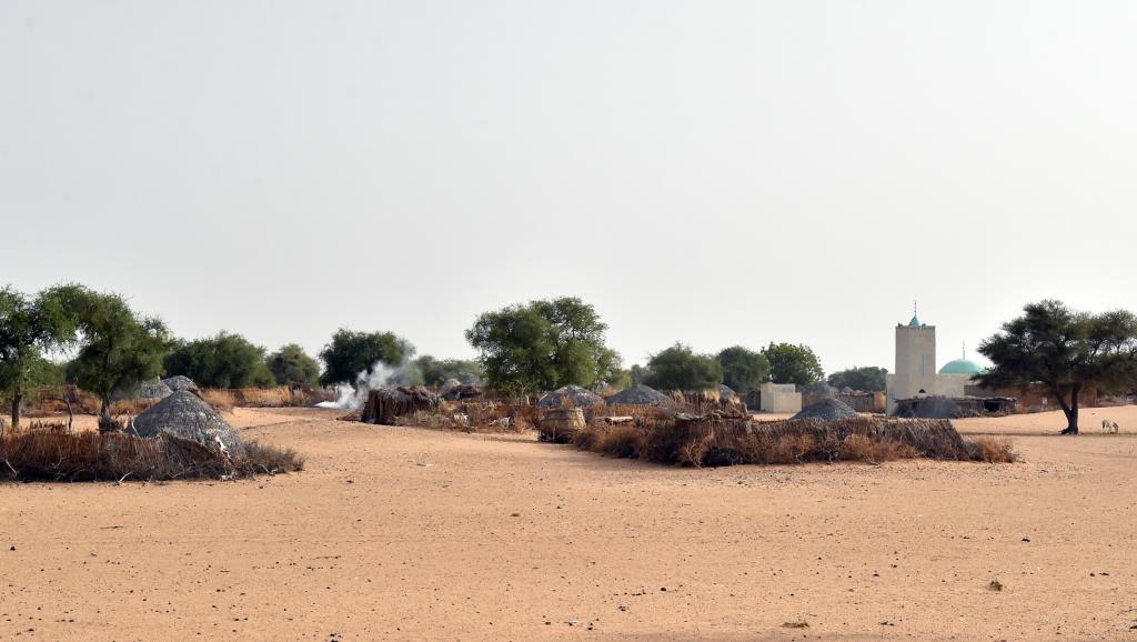 Niger: qui contrôle la localité de Bosso, depuis l'attaque de Boko Haram?