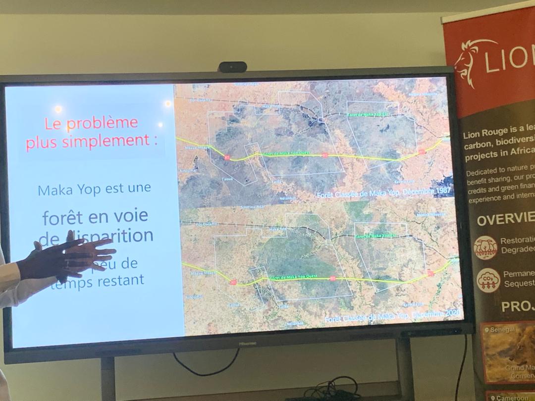  Projet "Grand Maka Yop Big 5 Safari" : Lion Rouge engage 120 millions de dollars pour restaurer le « Big Five » au Sénégal