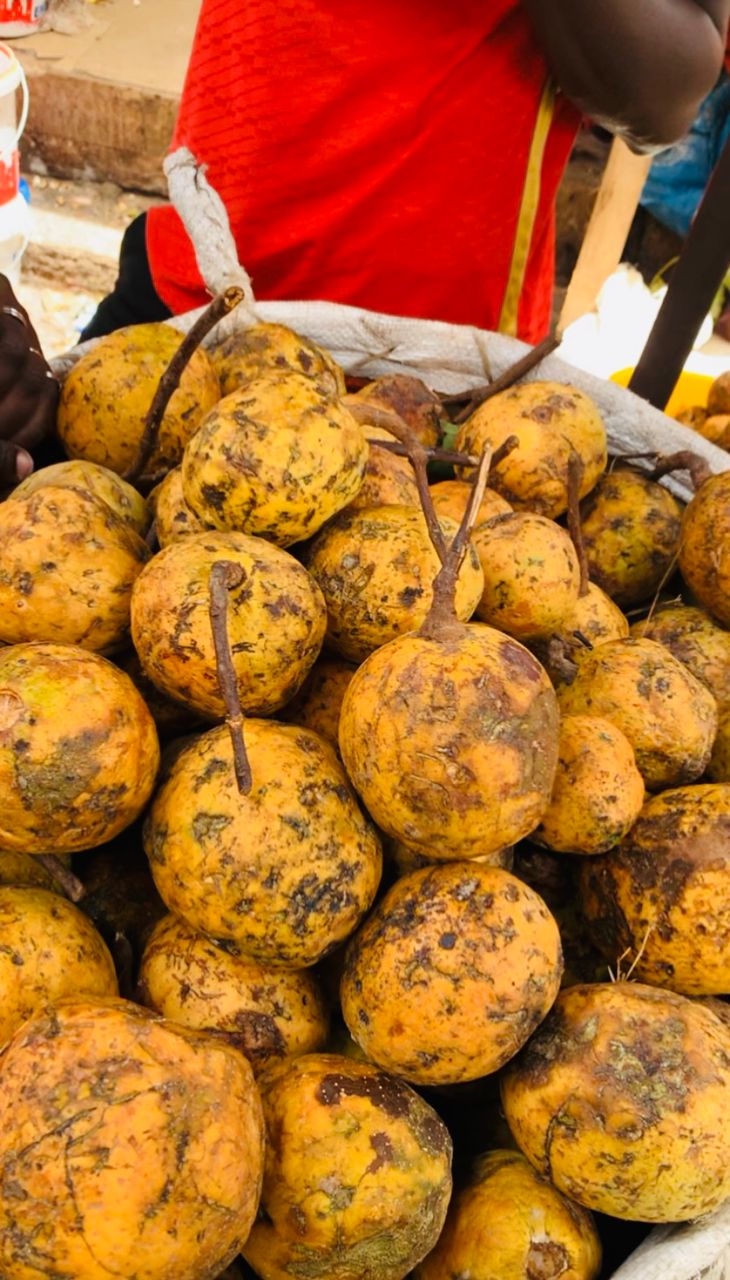A Dakar, les vendeurs de produits naturels du marché Castors étouffés par les taxes et la pénurie (REPORTAGE)