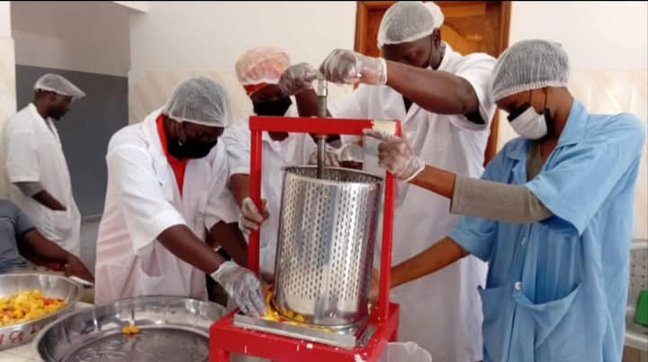 Kolda : des jeunes filles formées à la transformation de viande végétale à base de pomme d’acajou