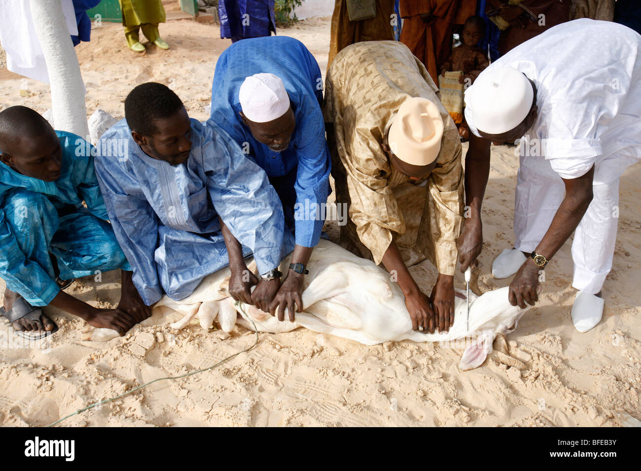 Religions : La CMS annonce la célébration de la Tabaski 2026 pour le mercredi 27 mai au Sénégal