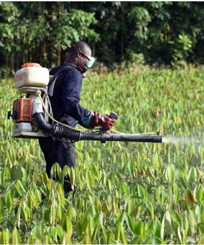 Environnement : PAN Africa lance un projet de 450 millions FCFA contre les pesticides dangereux