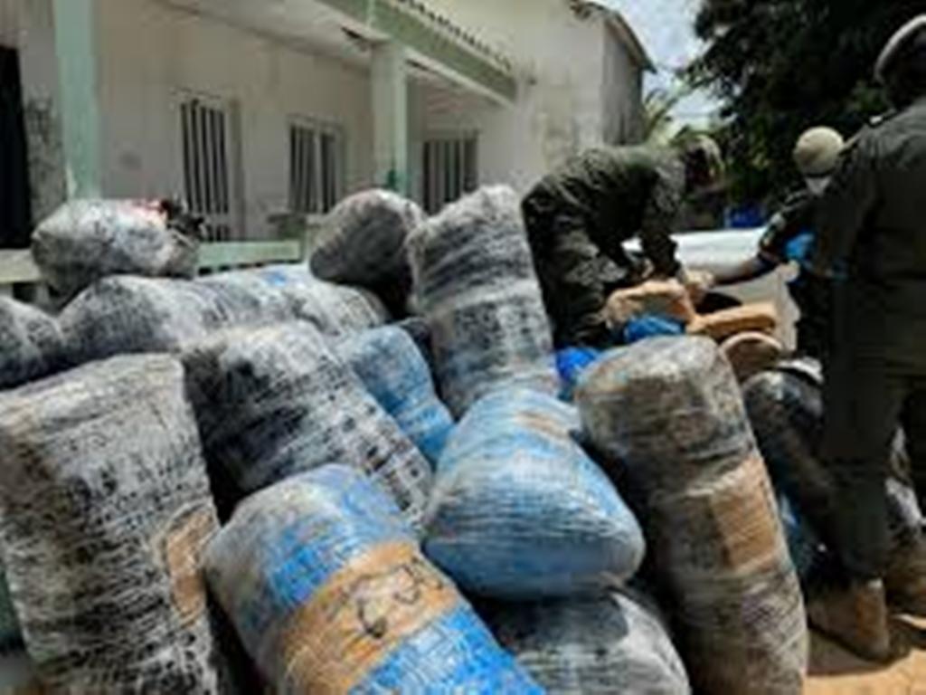 Coup de filet à Bounkiling : l'Ocrtis saisit 114 kg de chanvre indien après une course-poursuite