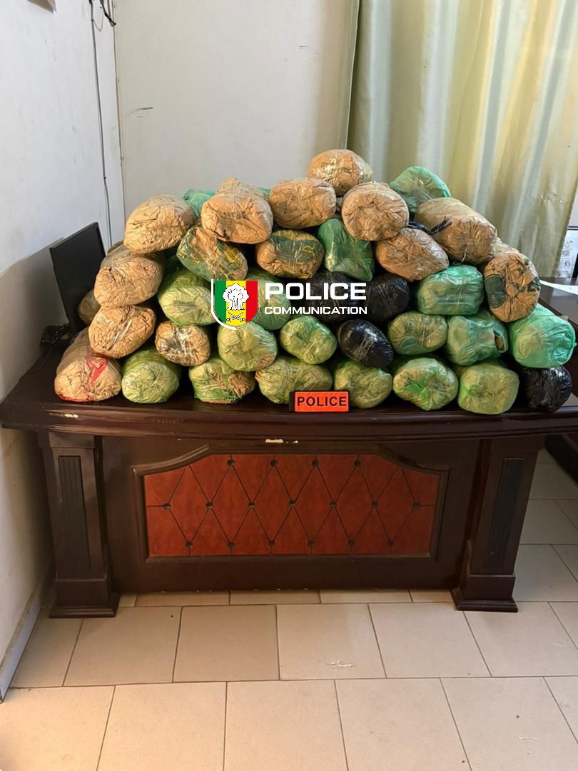 Fatick : 63 kilogrammes de chanvre indien saisis, des suspects activement recherchés par la BRS