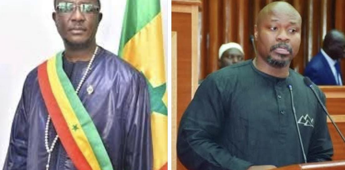 Convocations de deux députés de Pastef : Seydi Gassama demande la suppression des peines pour les infractions liées à la liberté d'expression