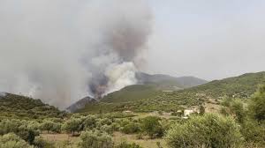 Algérie: les autorités interdisent l'accès aux forêts pour éviter les incendies cet été