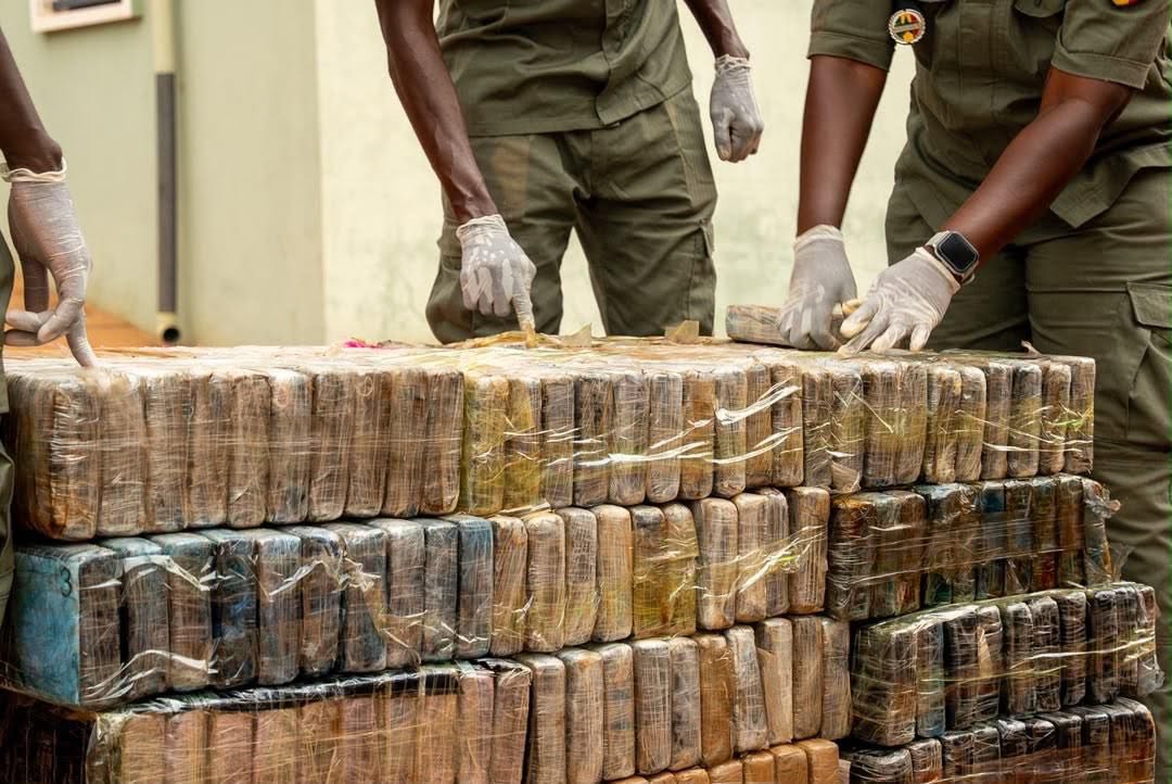 Trafic de drogues : Saisie record de 970 kg de cocaïne par la Douane à Koumpentoum 