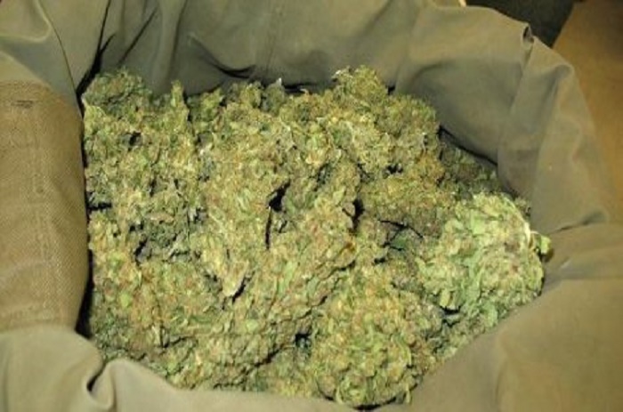 Ouakam-62 Kg de chanvre indien saisis sur deux personnes