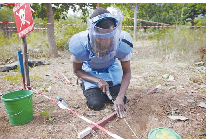 Casamance: le chef de village de Singhère Diola plaide pour l’extension des opérations de déminage dans des zones affectées Casamance: le chef de village de Singhère Diola plaide pour l’extension des opérations de déminage dans des zones affectées