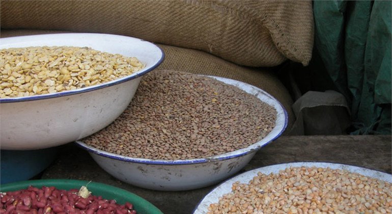 177 093 personnes secourues, 1 550 tonnes de riz reconstituées : le Commissariat à la sécurité alimentaire dévoile son bilan 2025