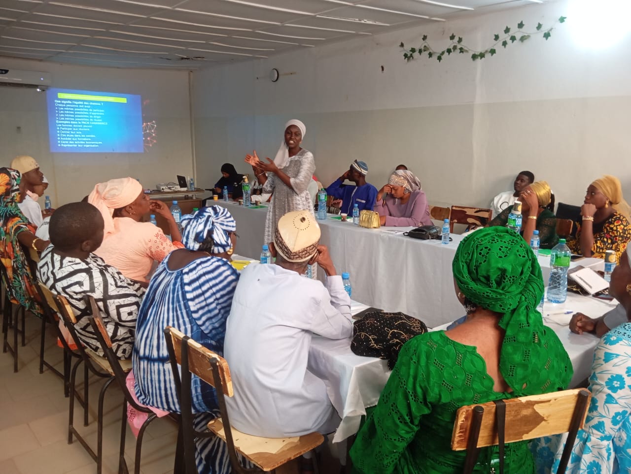 Kolda Farmers Gain Gender-Specific Skills in Agricultural Value Chains