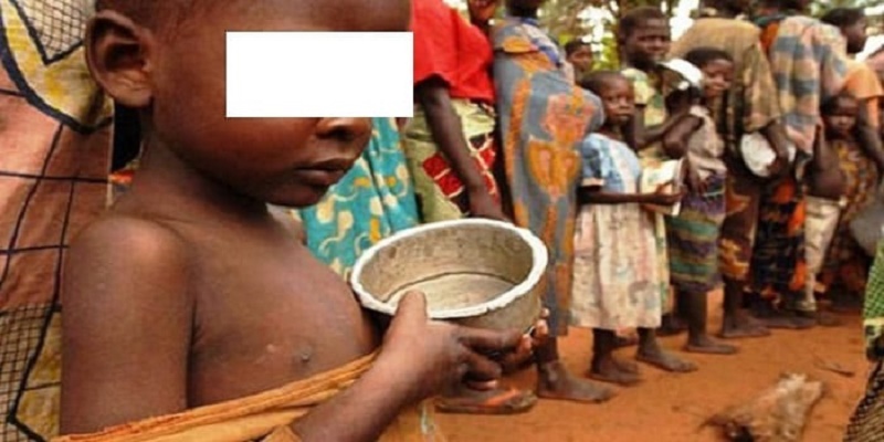 Malnutrition : 75 % des enfants sénégalais n’atteignent pas la diversité alimentaire minimale