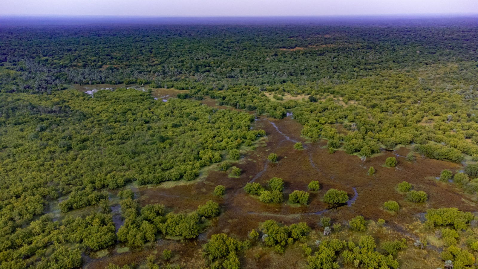 ​  Biodiversité : Un nouveau souffle de 765 millions CFA pour la préservation du parc national de Niokolo-Koba
