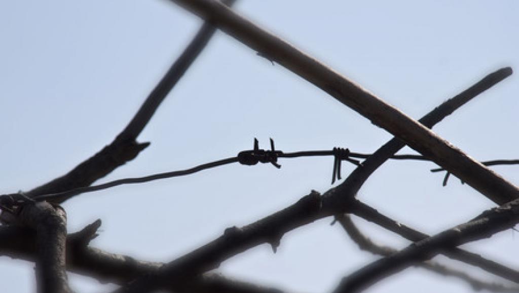 ​Angola: Amnesty demande la libération de 17 militants en prison depuis 1 an