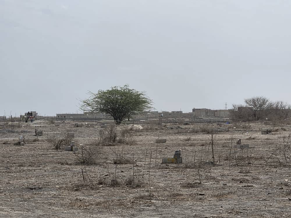 Rufisque : le préfet dément toute attribution de terrains entre la Centrale électrique et la Zone économique spéciale