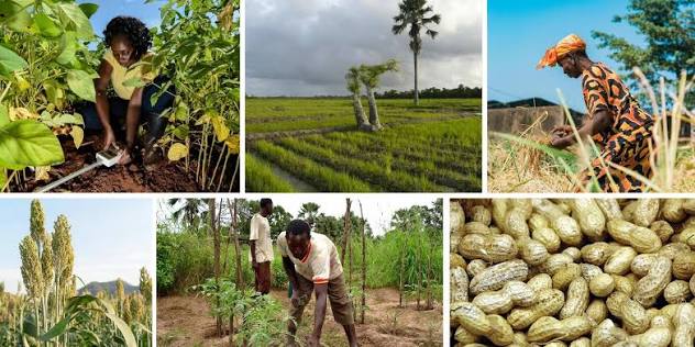 Souveraineté alimentaire : l’ENSA et le PRODAC s’allient pour booster l’innovation agricole au Sénégal Souveraineté alimentaire : l’ENSA et le PRODAC s’allient pour booster l’innovation agricole au Sénégal