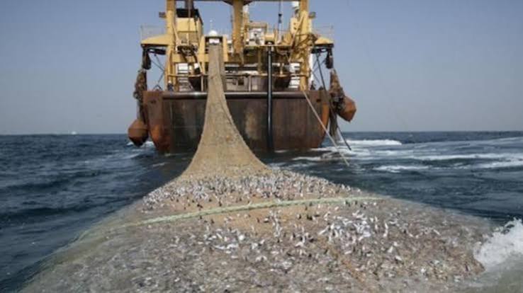 Accord de pêche UE-Mauritanie : la Lettonie tire la sonnette d’alarme sur l’avenir de la flotte européenne Accord de pêche UE-Mauritanie : la Lettonie tire la sonnette d’alarme sur l’avenir de la flotte européenne