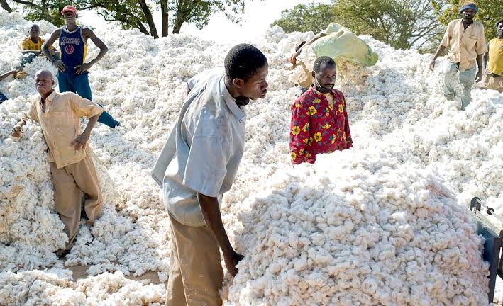La production industrielle baisse de 7,2% en mai 2026 malgré la résilience du coton en cumul La production industrielle baisse de 7,2% en mai 2026 malgré la résilience du coton en cumul