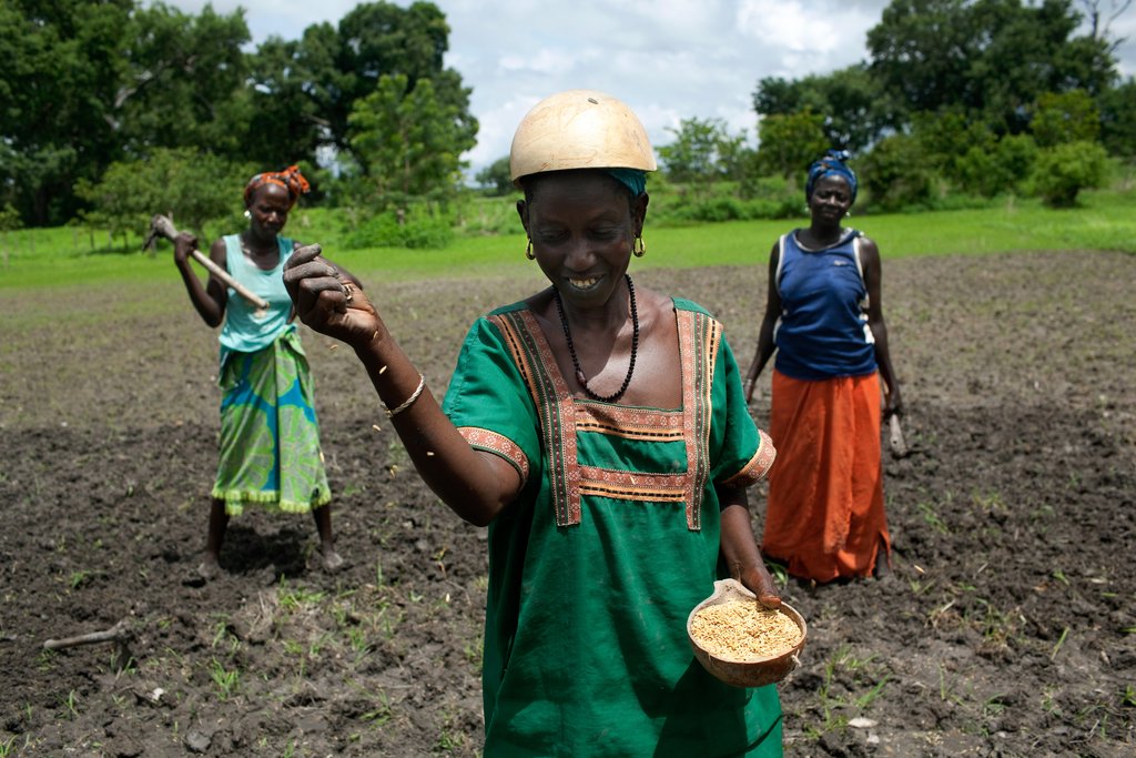 Souveraineté alimentaire : les semences déclarées « priorité absolue » par l’État Souveraineté alimentaire : les semences déclarées « priorité absolue » par l’État