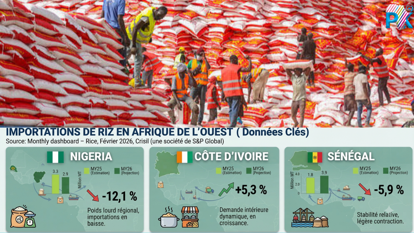  Riz en Afrique de l’Ouest : Le trio Nigeria, Côte d’Ivoire et Sénégal aux commandes des importations Riz en Afrique de l’Ouest : Le trio Nigeria, Côte d’Ivoire et Sénégal aux commandes des importations