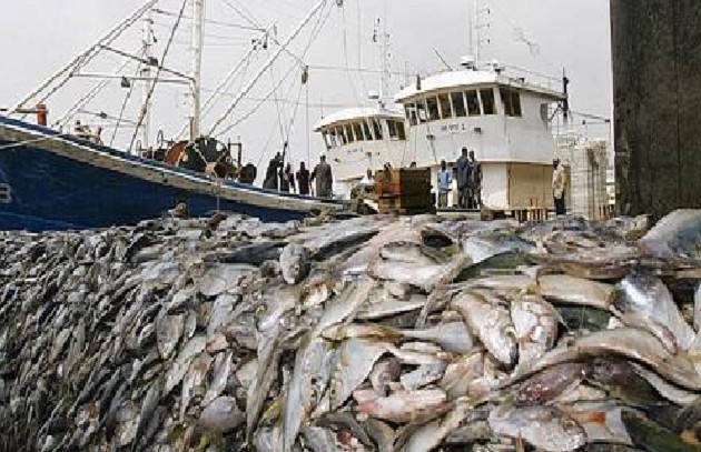 Pêche illégale : la CAOPA salue les progrès du Sénégal Pêche illégale : la CAOPA salue les progrès du Sénégal