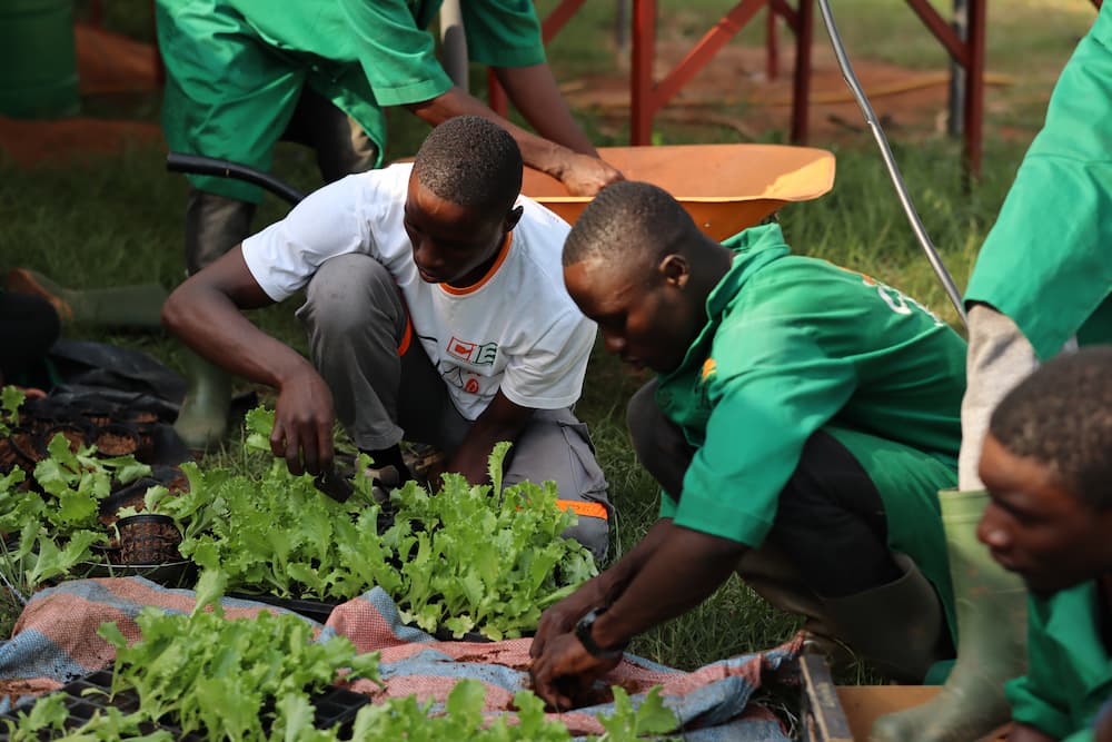 Matam : l’agronome Pape Samba Sow préconise l’engrais organique pour booster l’agroécologie Matam : l’agronome Pape Samba Sow préconise l’engrais organique pour booster l’agroécologie