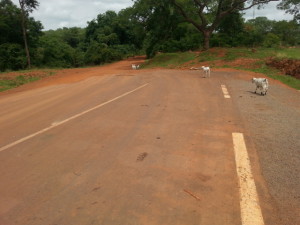 Enquête exclusive sur la réalisation bancale de la route internationale Labé-Koundara