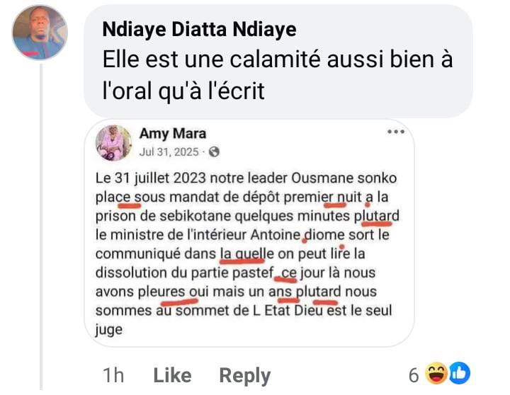 Sénégal : quand le discours de la ministre des Pêches prend l'eau en pleine interview