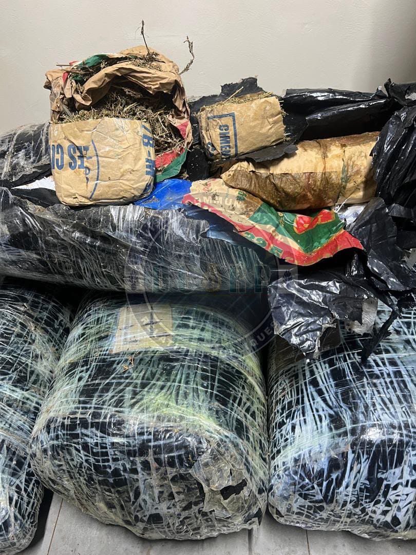 Lutte contre la drogue : Plus de 300 kg de chanvre indien saisis à Thiaroye