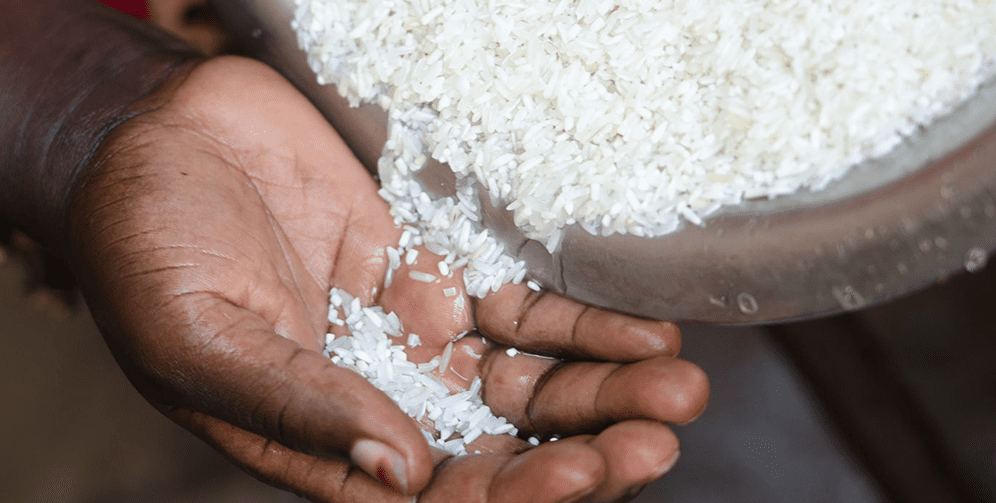 Aflatoxines dans le riz : le ministère de l’Industrie et du Commerce dément toute contamination généralisée Aflatoxines dans le riz : le ministère de l’Industrie et du Commerce dément toute contamination généralisée