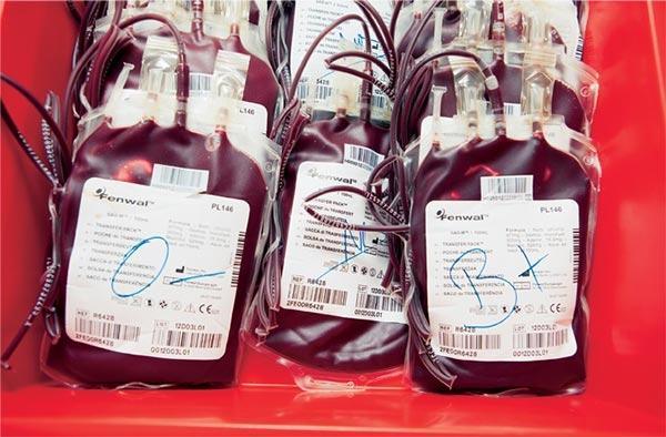 Urgent/pénurie de sang : seulement 13 poches disponibles pour les urgences(L'ANDOBES)