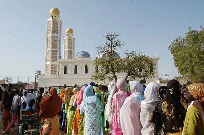 ​Tivaouane : la Cellule Zawiya Tijaniyya fera face à la presse samedi pour annoncer les activités du Gamou 2026