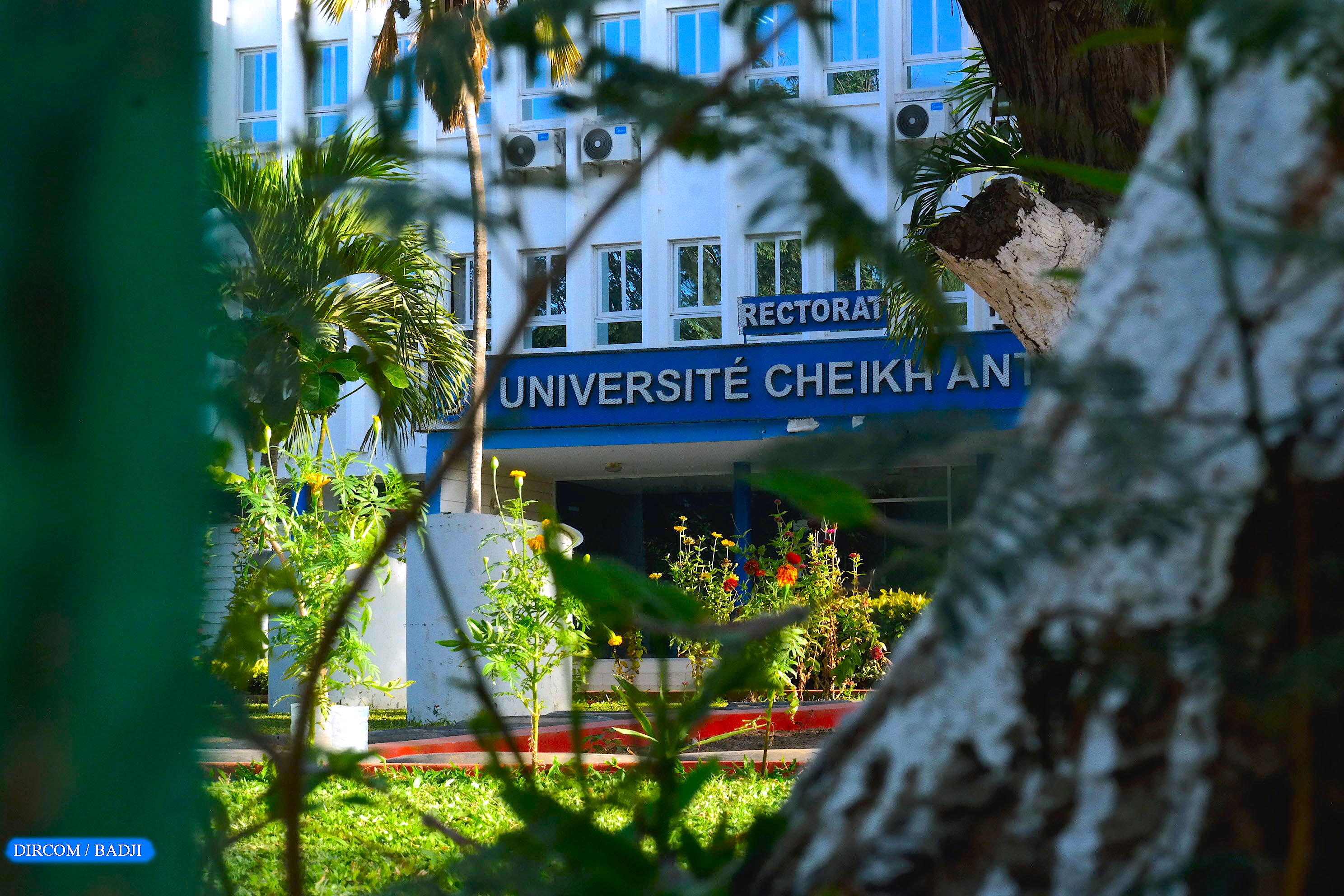 Enseignement supérieur : l'UCAD affiche 91,8 % de taux global d’inscription aux CCI-2026 